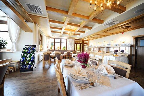Restauracja Hotel Alpejski